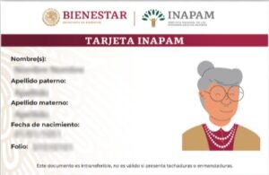 Nueva Credencial Inapam Estas Son Las Tarjetas Que A N Est N Vigentes