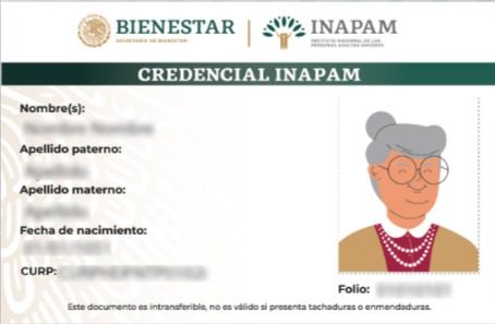 Nueva Credencial Inapam Estas Son Las Tarjetas Que A N Est N Vigentes