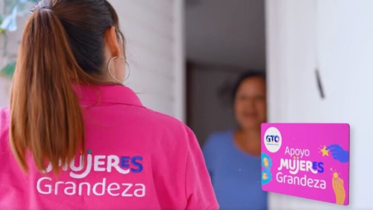 A Qui N Va Dirigida La Tarjeta Apoyo Mujeres Grandeza Guanajuato