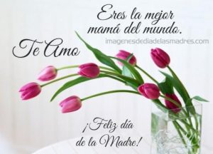 ▷ 100+ Imágenes Cristianas 10 de Mayo, Dia de Las Madres