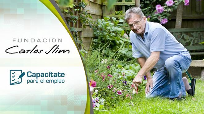 Curso Gratis Jardinería En Capacítate Para El Empleo Unión Guanajuato