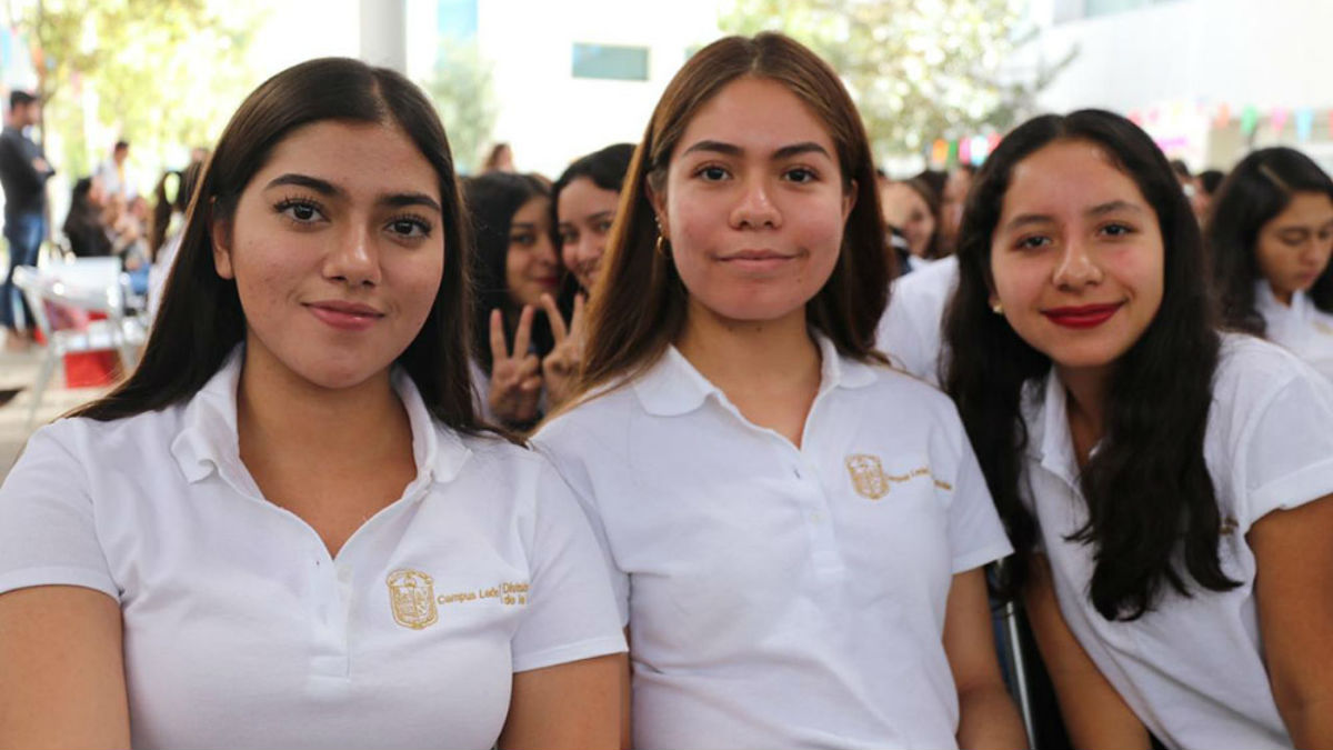 Cuantas matriculas de honor se pueden dar en la universidad