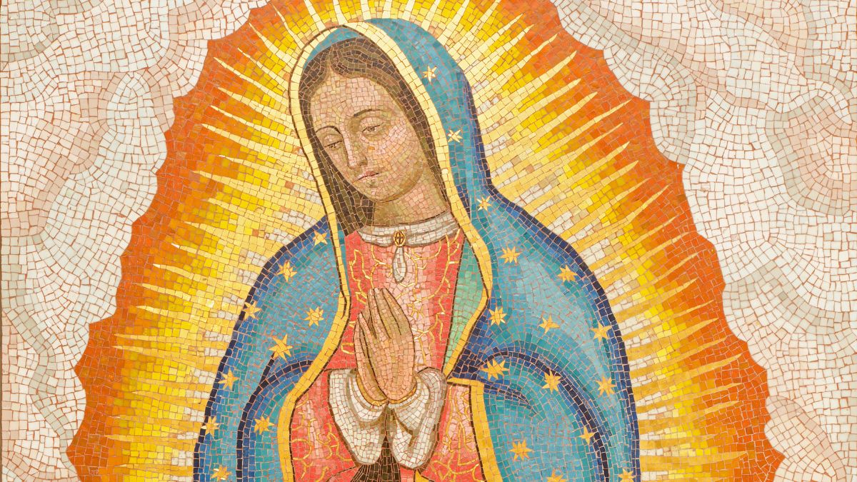 Our Lady Of Guadalupe Wikipedia, 57 OFF