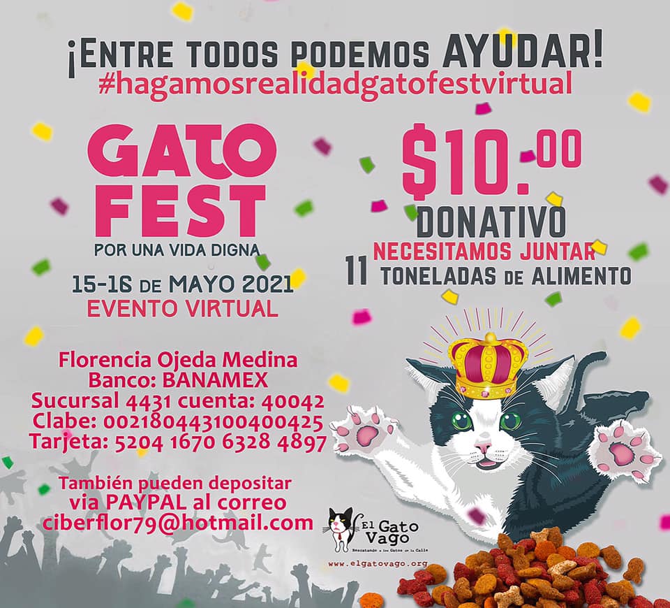 Gato Fest 2021 ¿Cuándo y dónde será? Unión Guanajuato