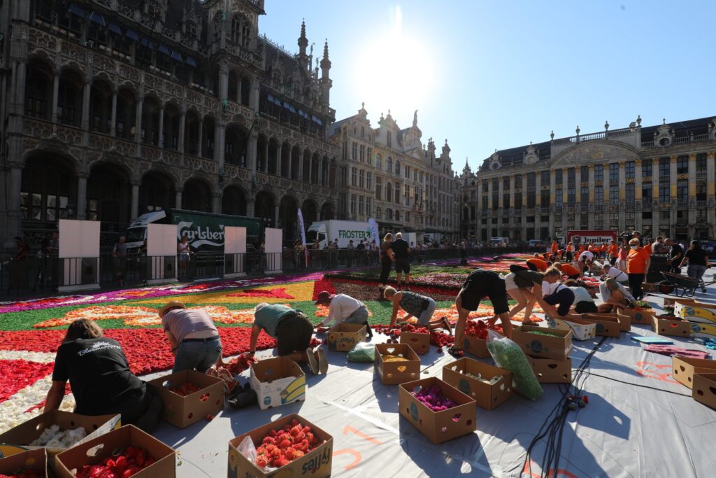 Alfombra De Flores De Guanajuato Enamora En Bélgica | FOTOS