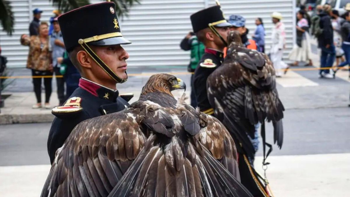 Sedena Convocatoria 2023 Estos Son Los Exámenes Para Ingresar A Los Planteles Militares Unión 2530