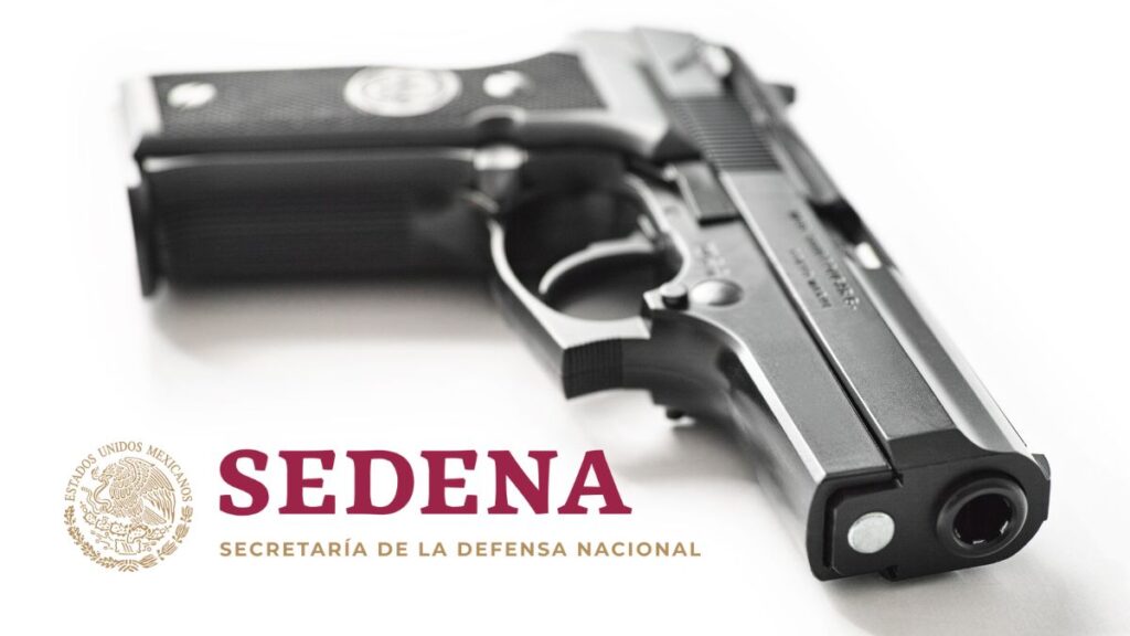 Sedena Catálogo De Armas De Fuego Actualizado Diciembre 2022 Unión