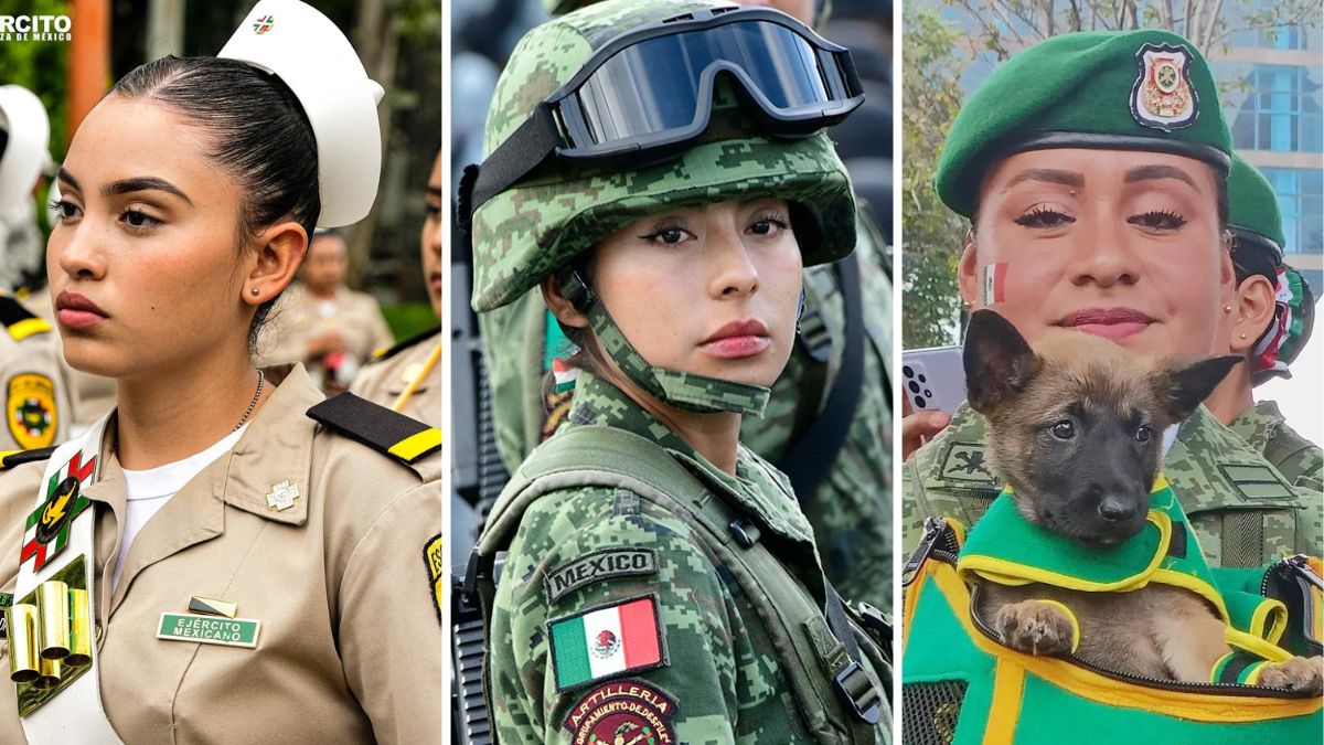 Sedena Convocatoria 2022 Para Mujeres Requisitos Para Entrar Al Ejército Mexicano Unión 5731